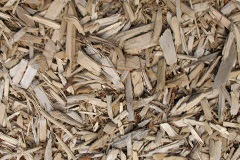 biomass boilers Pen Bedw