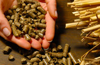 free Pen Bedw biomass boiler quotes